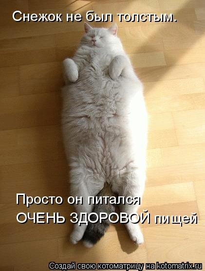 Лучшая котоматрица недели Лучшая котоматрица недели позитив,смешные картинки,юмор