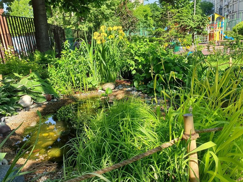 Цветник в городском дворе – советы практика Цветник в городском дворе – советы практика двор,ландшафтный дизайн,цветник