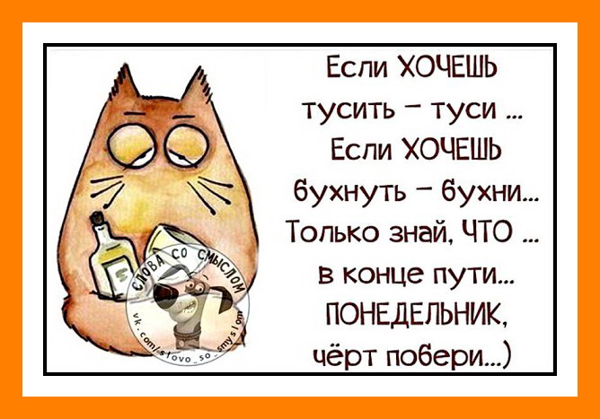 Смешные и интересные шутки, цитаты и фразы