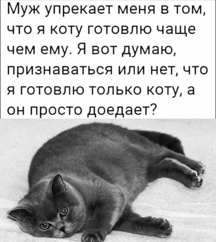 Классный юмор для отличного настроения