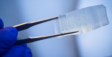 Напечатанный на биопринтере имплант вернул подвижность парализованным мышам биопринтер