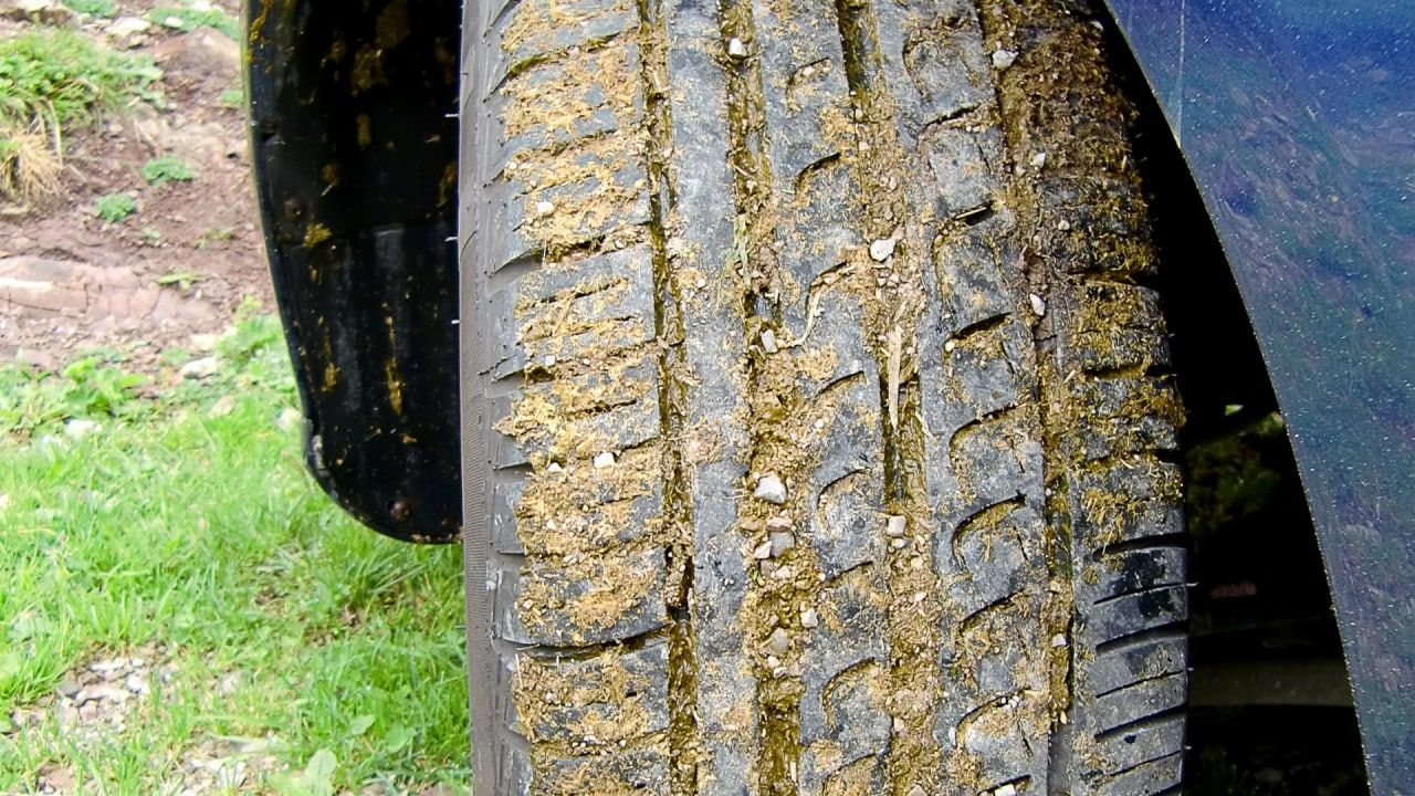 Школьник попал под колеса Infiniti в Красносельском районе Петербурга