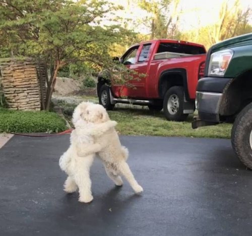 Прикольные картинки дня (50 шт)