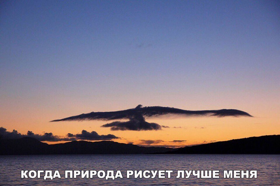 Милые фотографии и забавные картинки с надписями из нашей жизни Милые фотографии и забавные картинки с надписями из нашей жизни картинки с надписями,красивые фотографии,прикольные картинки,смешные комментарии