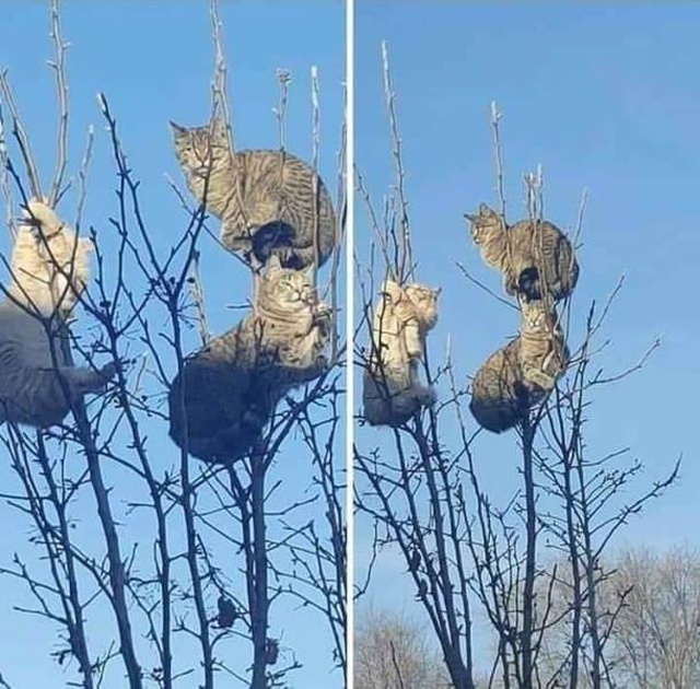 Подборка прикольных картинок  приколы,смешные картинки,юмор