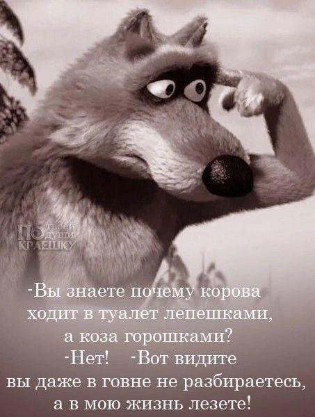 Хочешь, чтоб любимая никогда в тебе не разочаровалась?! Женись на другой! 