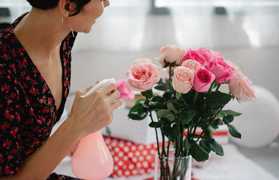 Розы любят водку: 9 способов продлить жизнь букету цветов быт,лайфхак,полезные советы