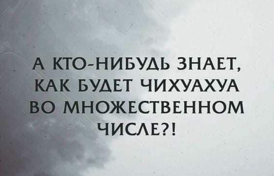 Искромётная подборка позитива и анекдотов в картинках 