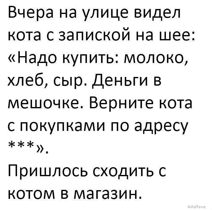 Собрание анекдотов и шуток для прекрасного настроения на весь день Собрание анекдотов и шуток для прекрасного настроения на весь день