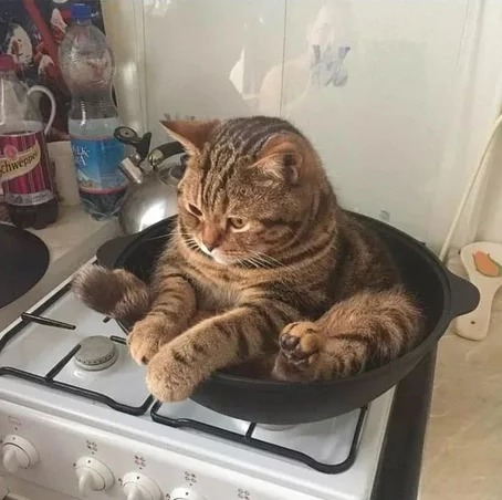 Подборка приколов для настроения Подборка приколов для настроения