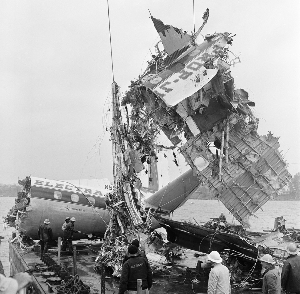 Громкие катастрофы самолетов с участием птиц Громкие катастрофы самолетов с участием птиц