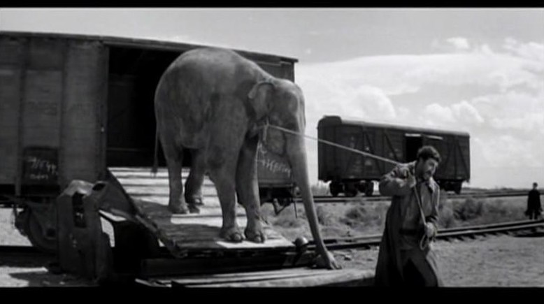 Трогательный забытый фильм "Солдат и слон" война, слон, советское кино