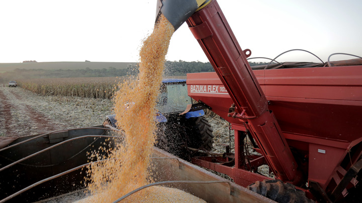 КРАХ ЗЕРНОВОЙ СДЕЛКИ. ЧИТАЕМ МЕЖДУ СТРОК БОЛЬШУЮ ИГРУ РОССИИ