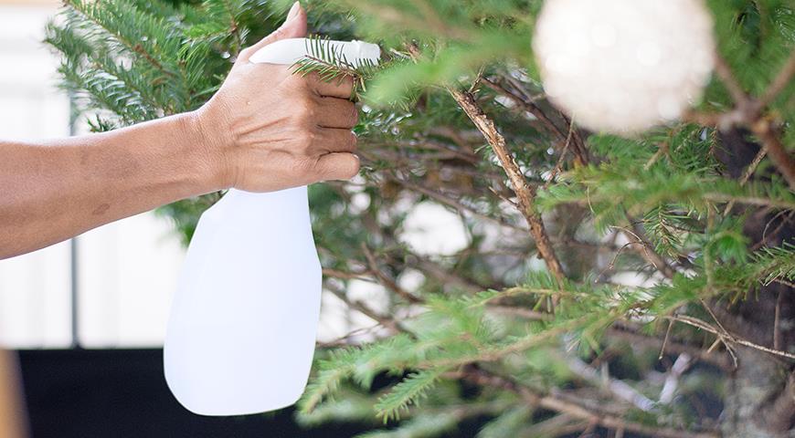 5 рецептов, чтобы новогодняя елка стояла как можно дольше новогодние украшения,полезные советы