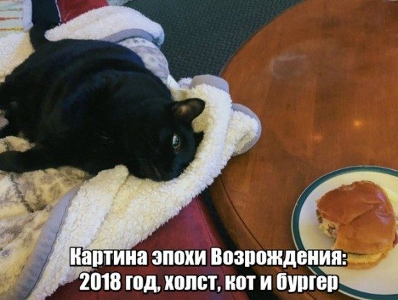 Новые смешные картинки дня!