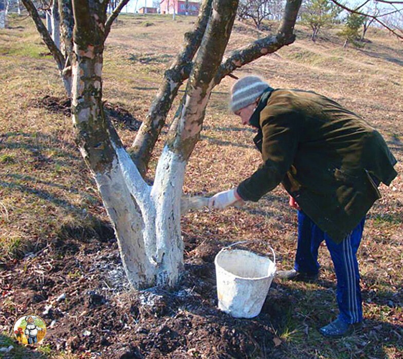 Картинки по запросу Осенние ошибки на огороде