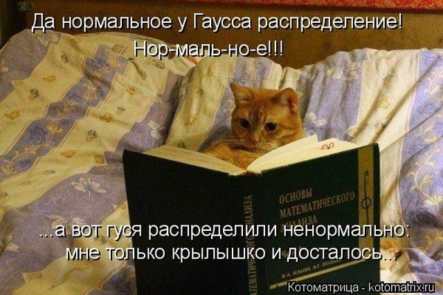 Самые смешные котоматрицы за прошедшую неделю