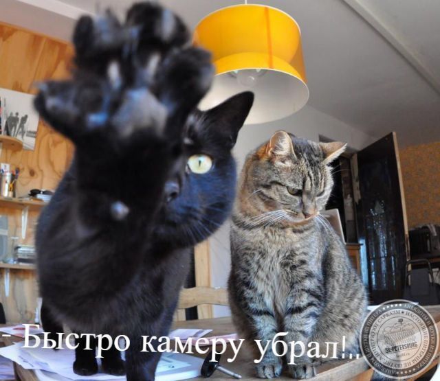 Камеру убрал