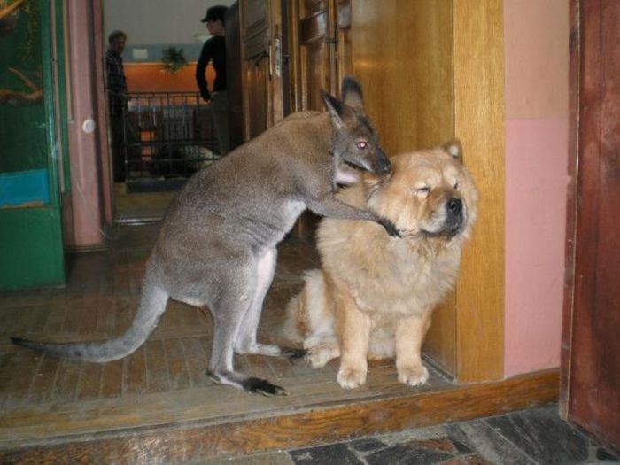 От улыбки хмурый день светлей... От улыбки хмурый день светлей...