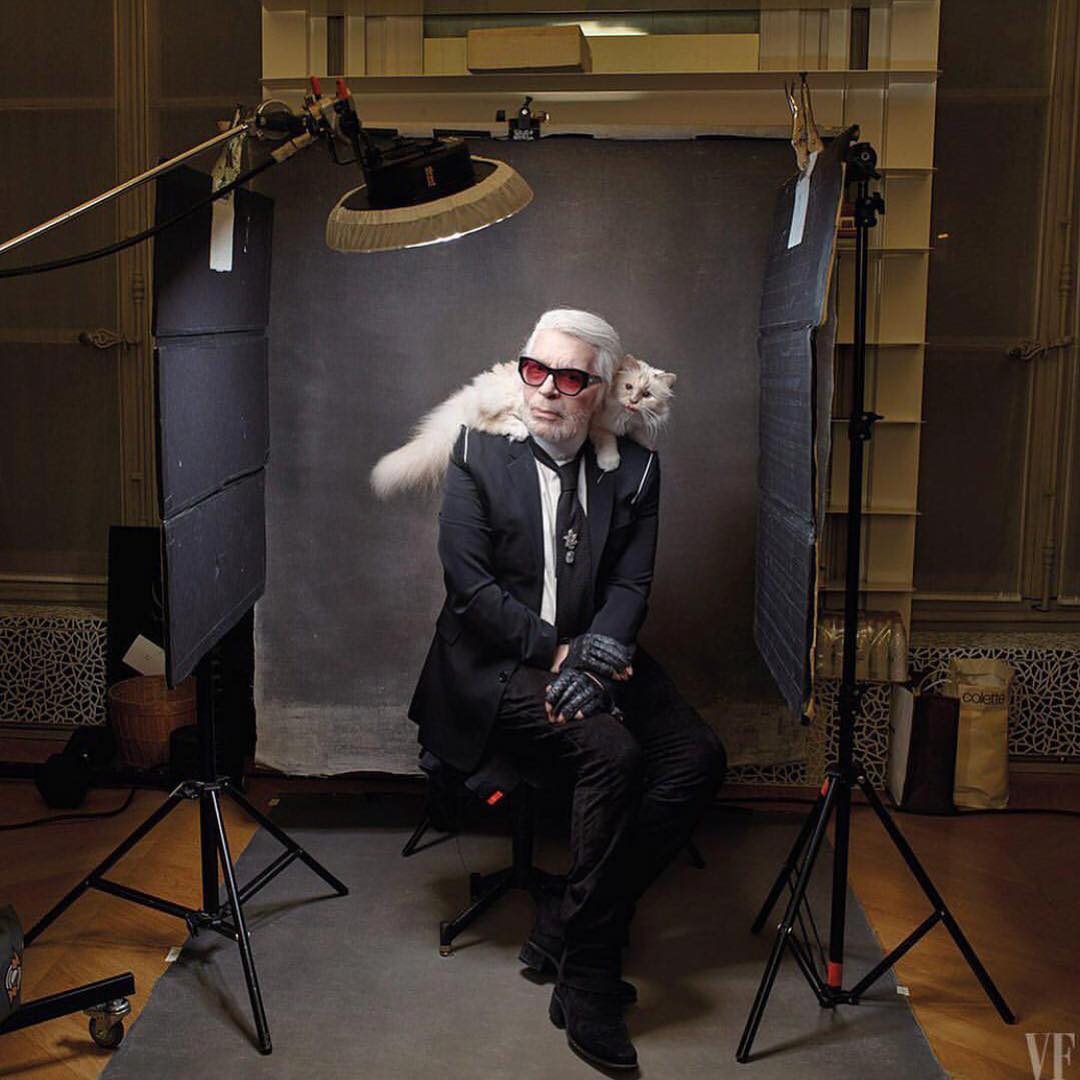 8 фото наследницы состояния Карла Лагерфельда — его кошки Шупетт интересное