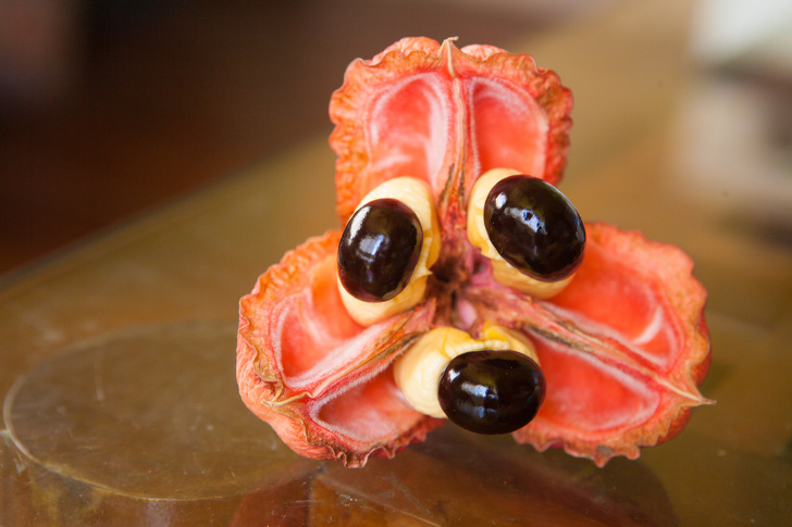 16 редких экзотических фруктов, которые вы увидите в первый раз 16 редких экзотических фруктов, которые вы увидите в первый раз страны,туризм