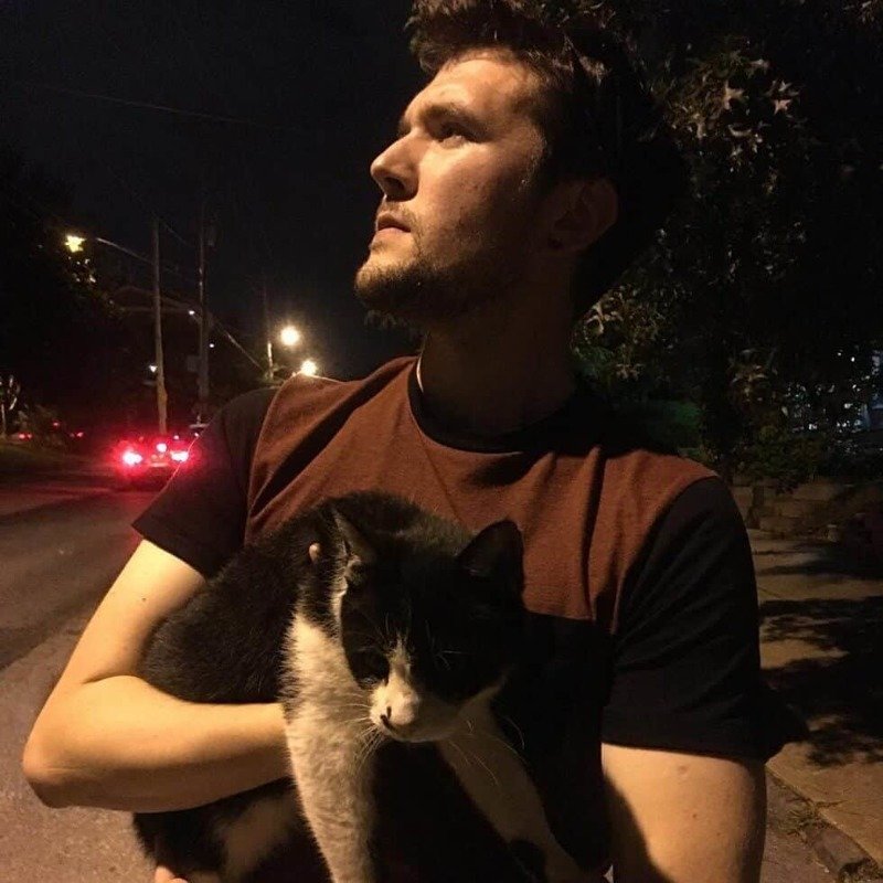 Теперь у него очень много друзей-котов в мире, добро, домашние питомцы, животные, коты, люди, милота