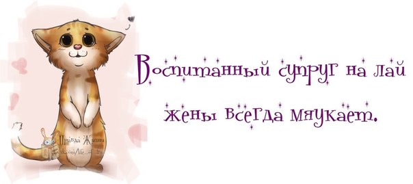 Прикольные картинки с фразочками Прикольные картинки с фразочками