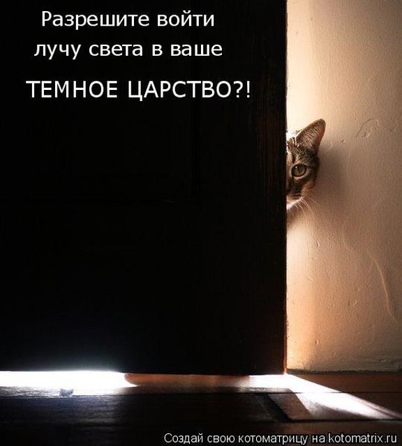 Самые смешные котоматрицы за прошедшую неделю