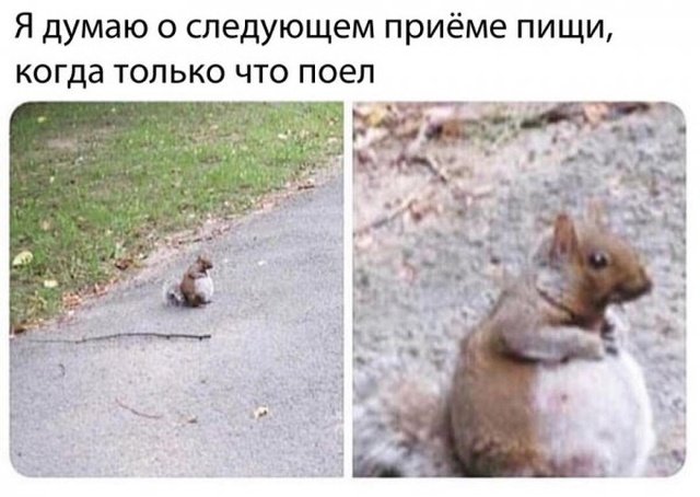 Юмор на разные темы Юмор на разные темы