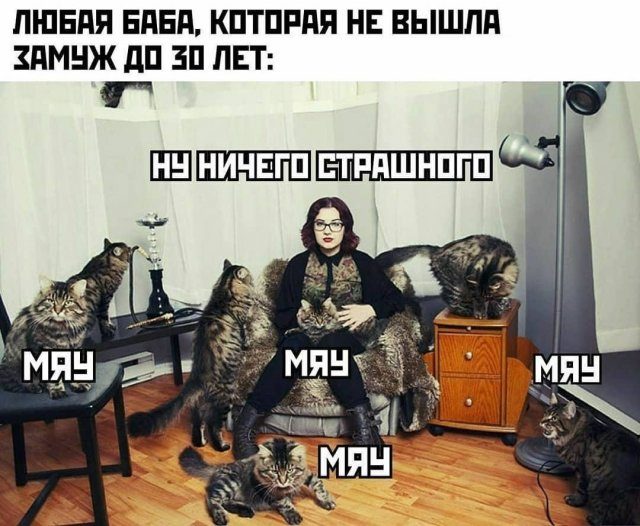 Смехопанорама. Высший класс! смешные картинки,фото-приколы,юмор