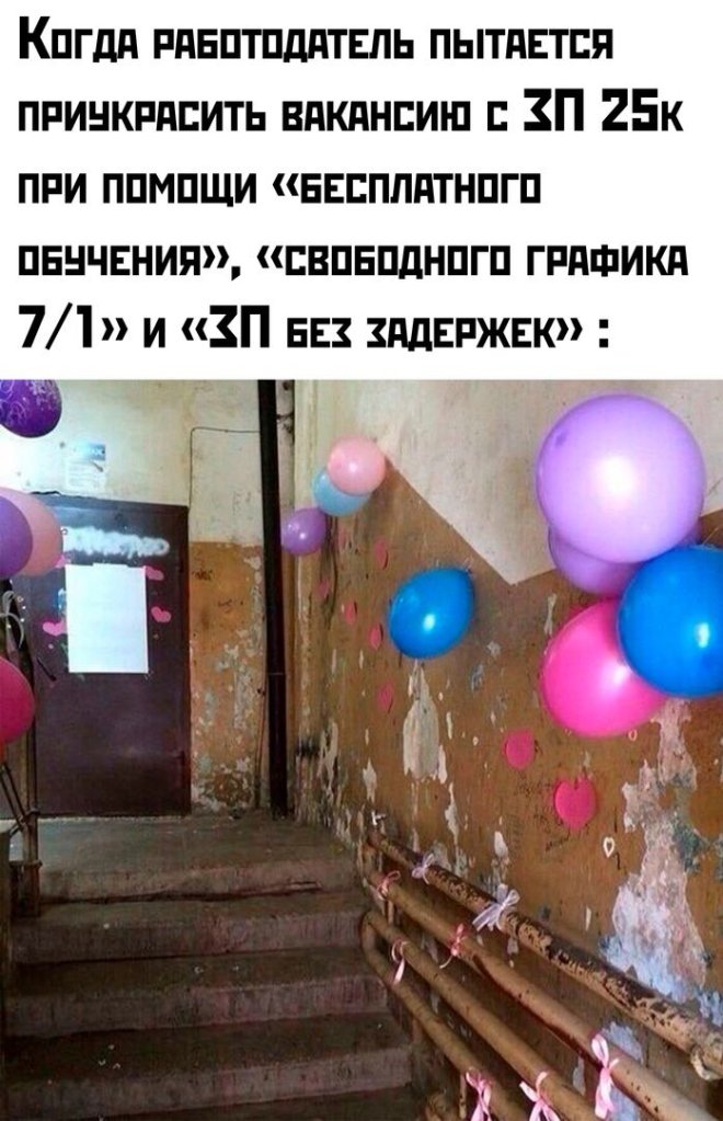Смешные картинки с надписями и петрушка с кинзой Смешные картинки с надписями и петрушка с кинзой
