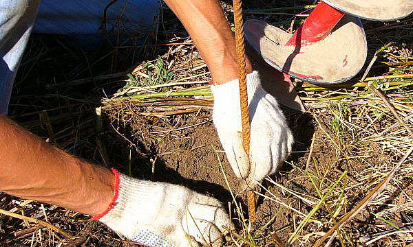 Возводим забор из кирпича своими силами сделай сам