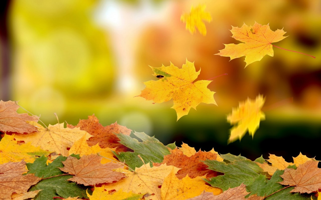 «Что-то тяжко мне на душе! Осень всему виной». Как преодолеть хандру осенью и полюбить пасмурную погоду?