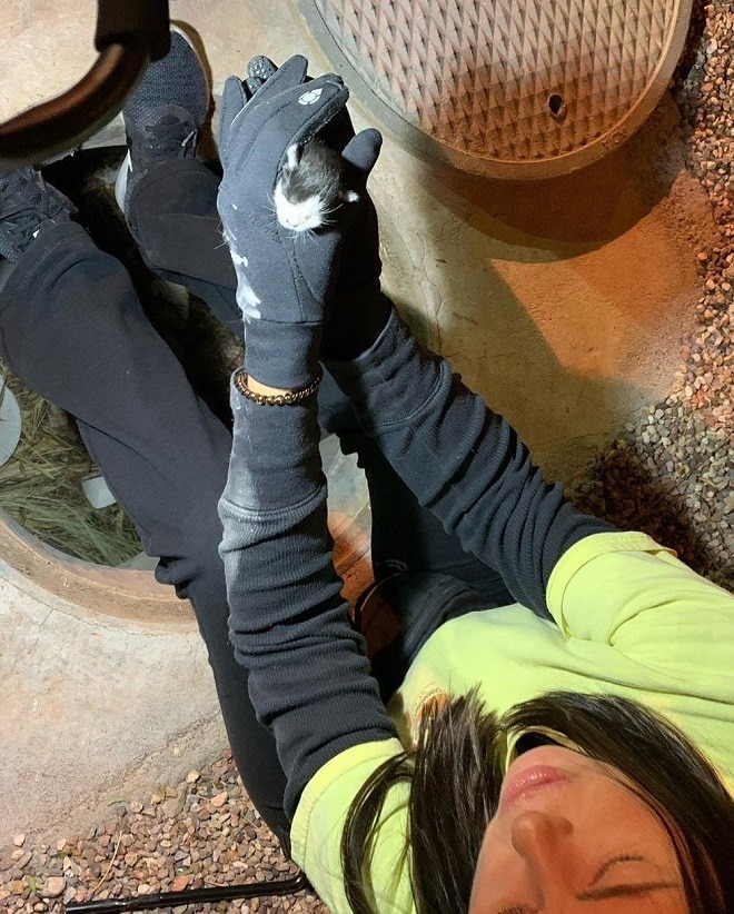 Котенок в руках