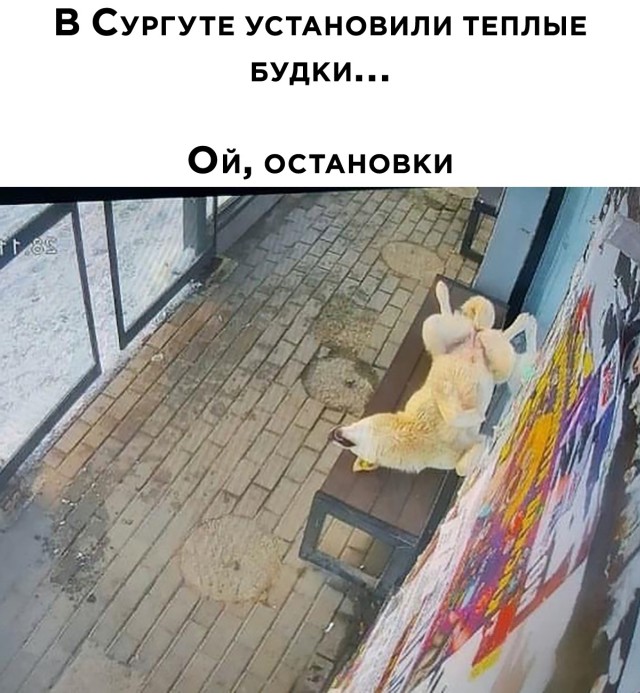 Подборка прикольных картинок 