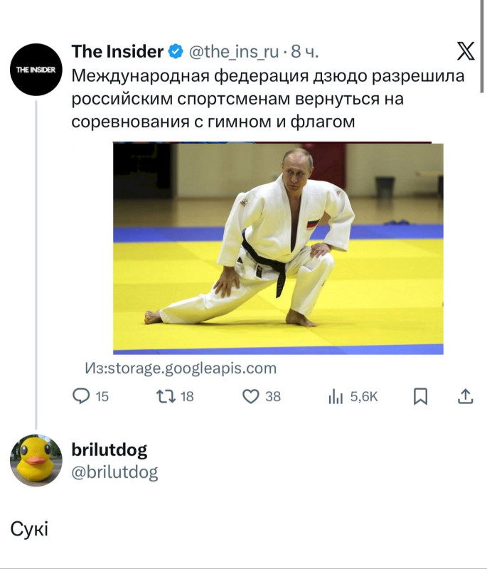 дзюдо Путин