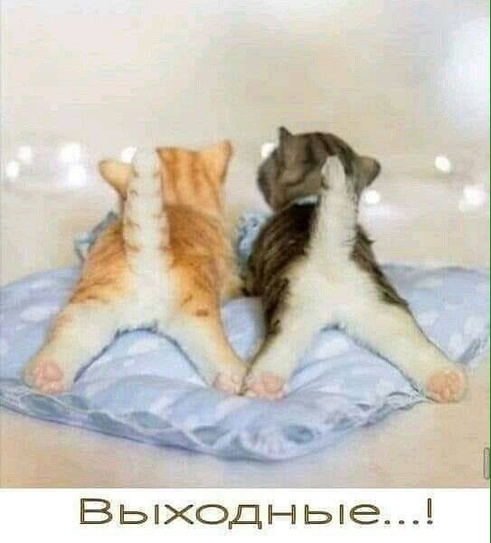 Настоящая подруга - это не та, что ползет рядом, а та, что тащит тебя пьяную домой! Настоящая подруга - это не та, что ползет рядом, а та, что тащит тебя пьяную домой! анекдоты,демотиваторы,приколы,юмор