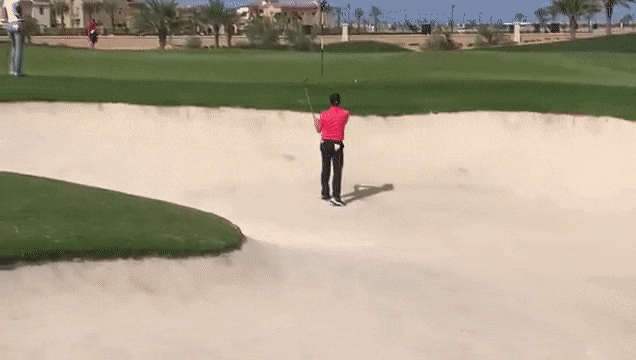 Подборка гифок Подборка гифок смешные картинки