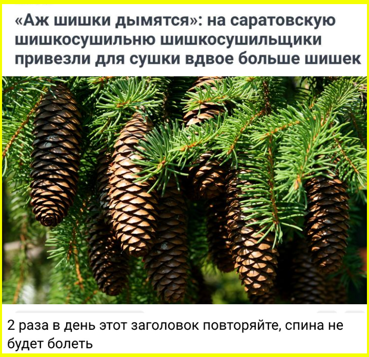 Робинзон Крузо любил Пятницу, потому что по пятницам к нему приплывал бухать Федор Конюхов... 