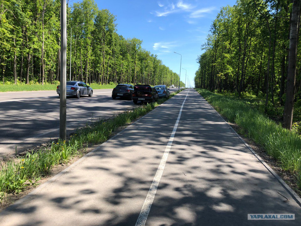 Вот так прячут камеры в Саранске дороги,камеры,на злобу дня