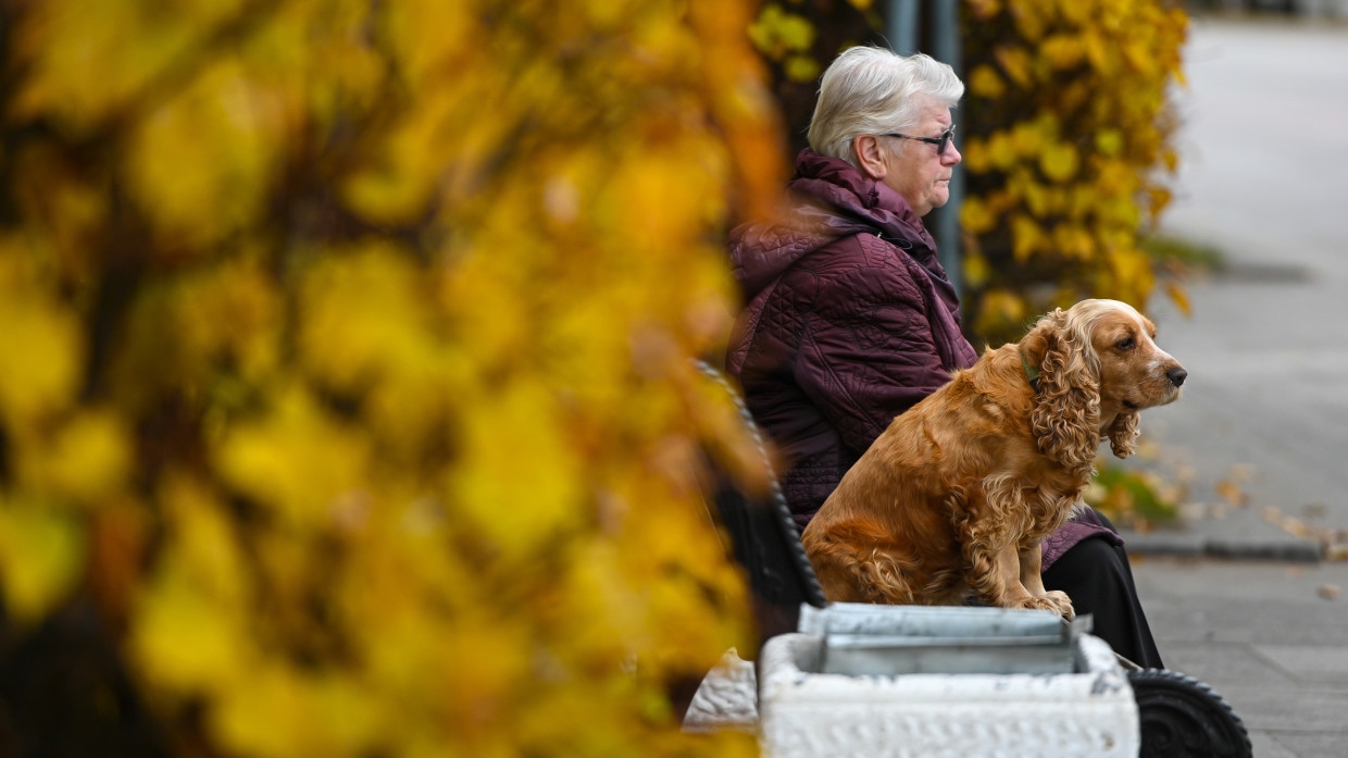 Вильфанд спрогнозировал затяжную золотую осень в Центральной России