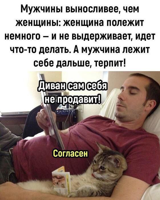 Смешные картинки с надписями и петрушка с кинзой Смешные картинки с надписями и петрушка с кинзой