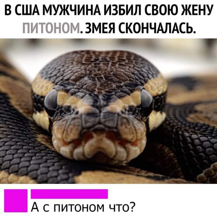 - Что за бестактность? Я же тебе русским языком говорю, Вася, что моя женa ждет ребенка... чтобы, нужно, слава, мужчины, домой, женой, думал, хорошо, выйти, только, ошиблись, время, закрывал, устану…, понимаю, наверное, Рыбаксвидетель, дверью, пройти, метров