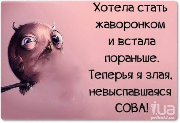 Юмор из интернета 661 позитив,смех,улыбки,юмор