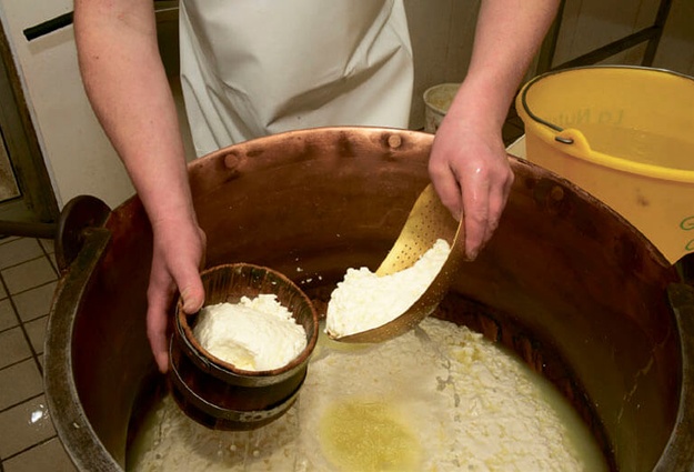 Картинки по запросу "варится сыр"