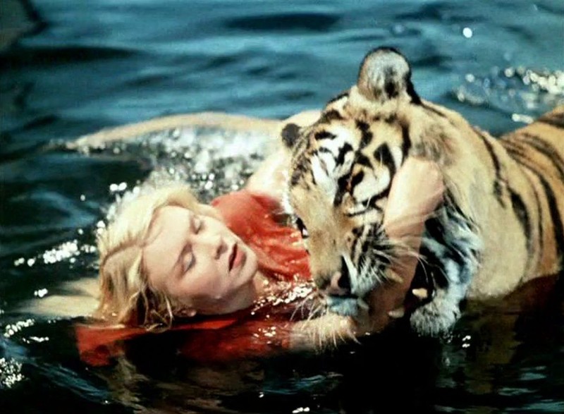 Самые популярные животные-киноактеры Самые популярные животные-киноактеры