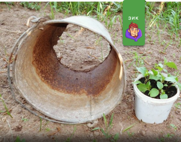 3 действительно полезных применения дырявого ведра