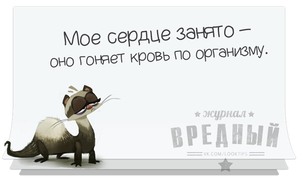 https://mtdata.ru/u17/photo9960/20423381601-0/original.jpg#20423381601