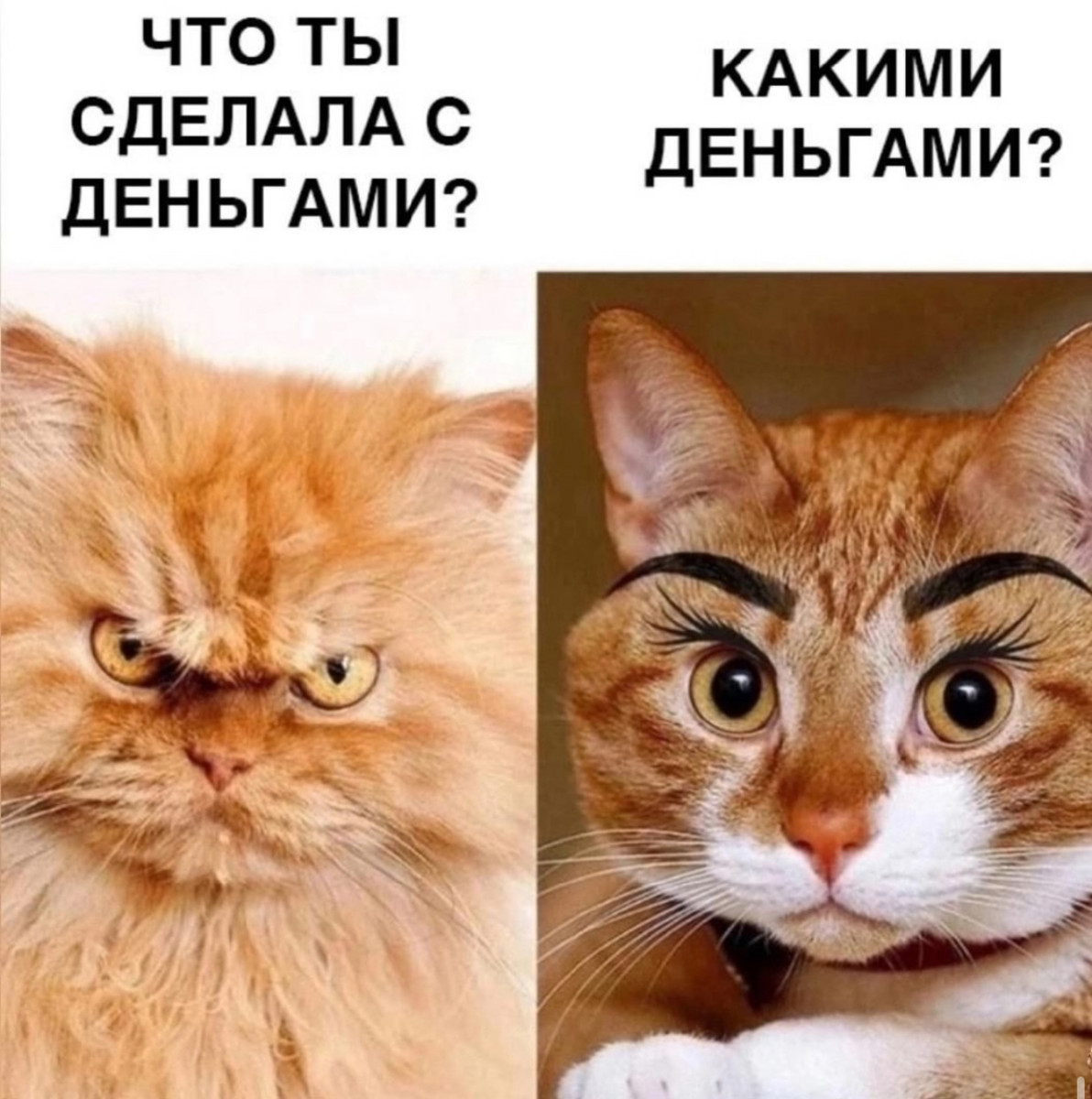 Уволился, потому что работа мешала моему лету Уволился, потому что работа мешала моему лету