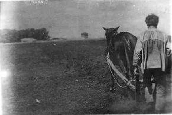 Зачем викингам нужны были славяне? Зачем викингам нужны были славяне?